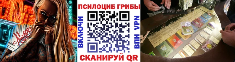 Галлюциногенные грибы мухоморы Шацк